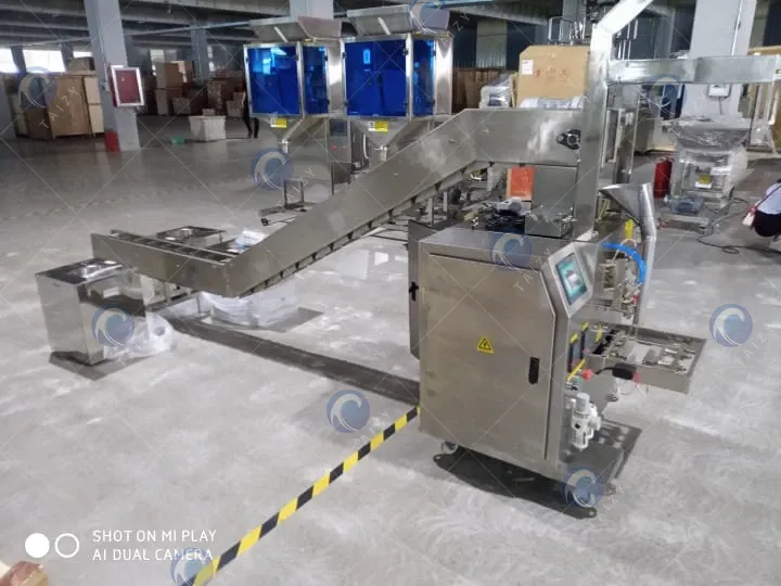 granule pouch filling and packing machine
