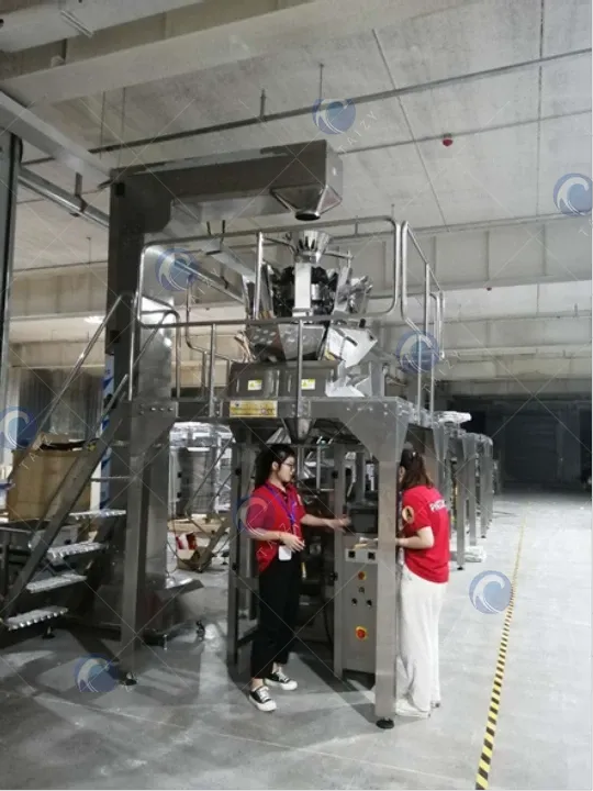 multi-head weigher granule packer