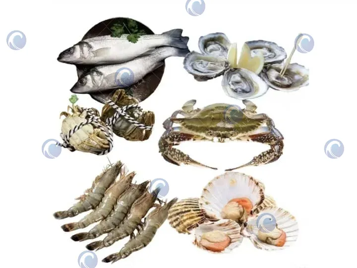 seafood products