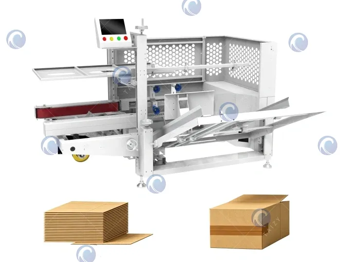 carton erector machine