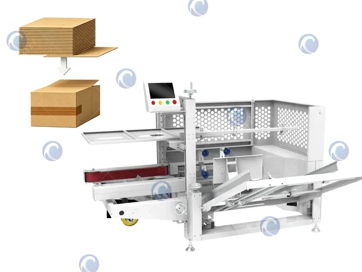 carton forming machine